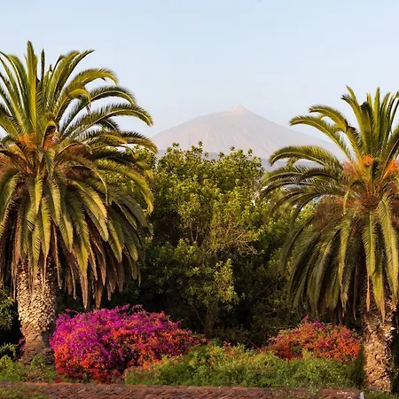 With Mount Teide And Sea Views
